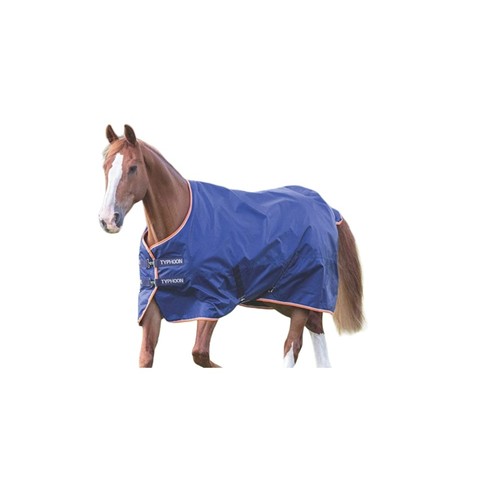 Tempest typhoon horse turnout - horse,