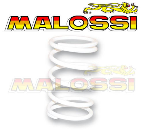 Variio push spring malossi - push,